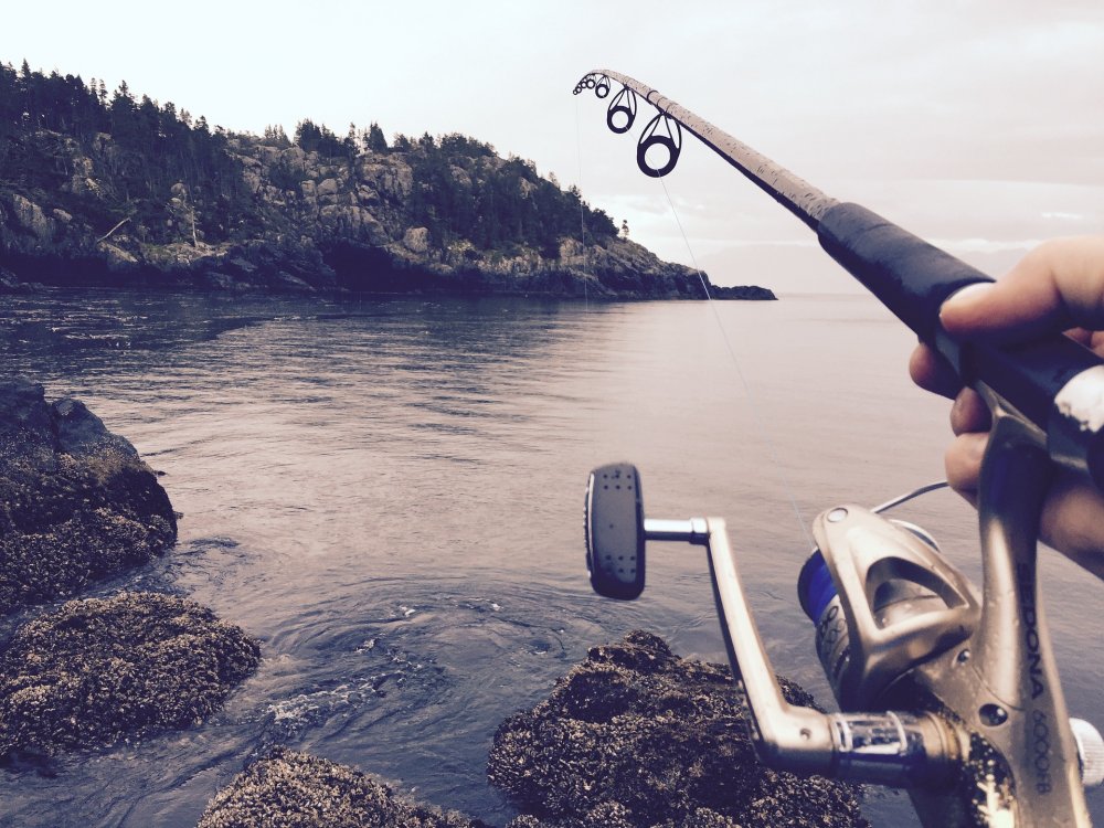 Sneci.hu - Így öltözz össze a horgászattal #3 – Egy nagyon oké rodpod